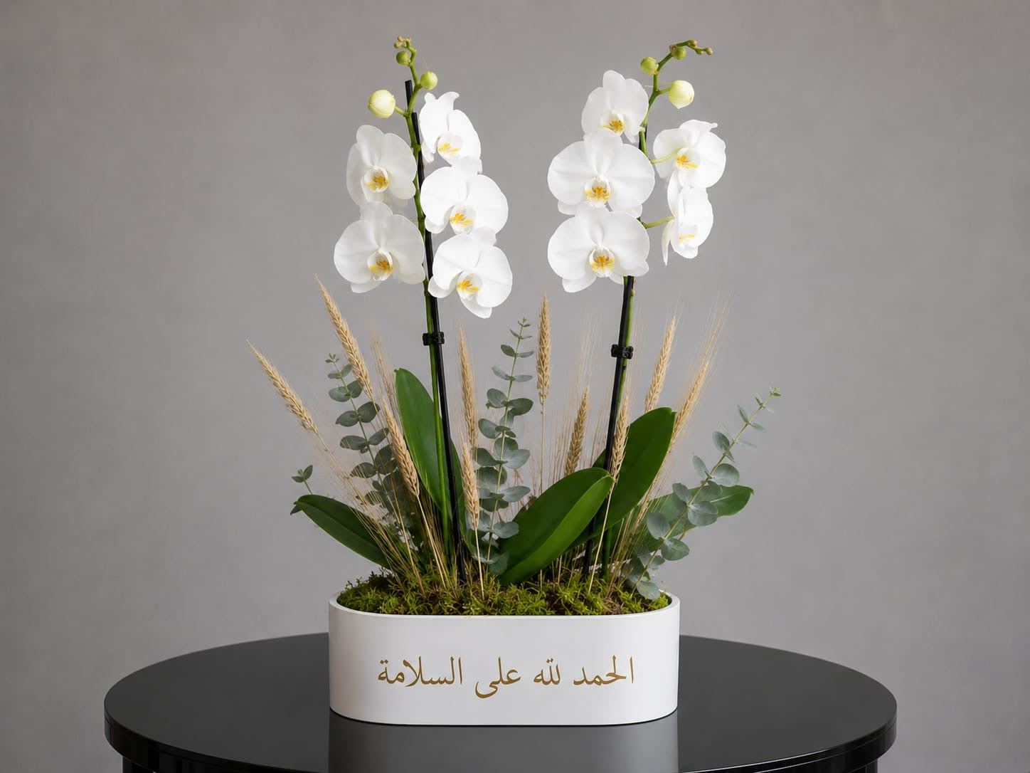 Orchid Elegance 126