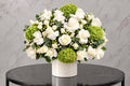 Haneen Green Grace w24