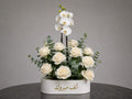 Royal White Orchid 125