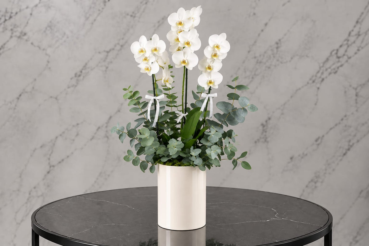 Euca Orchid Vase w27