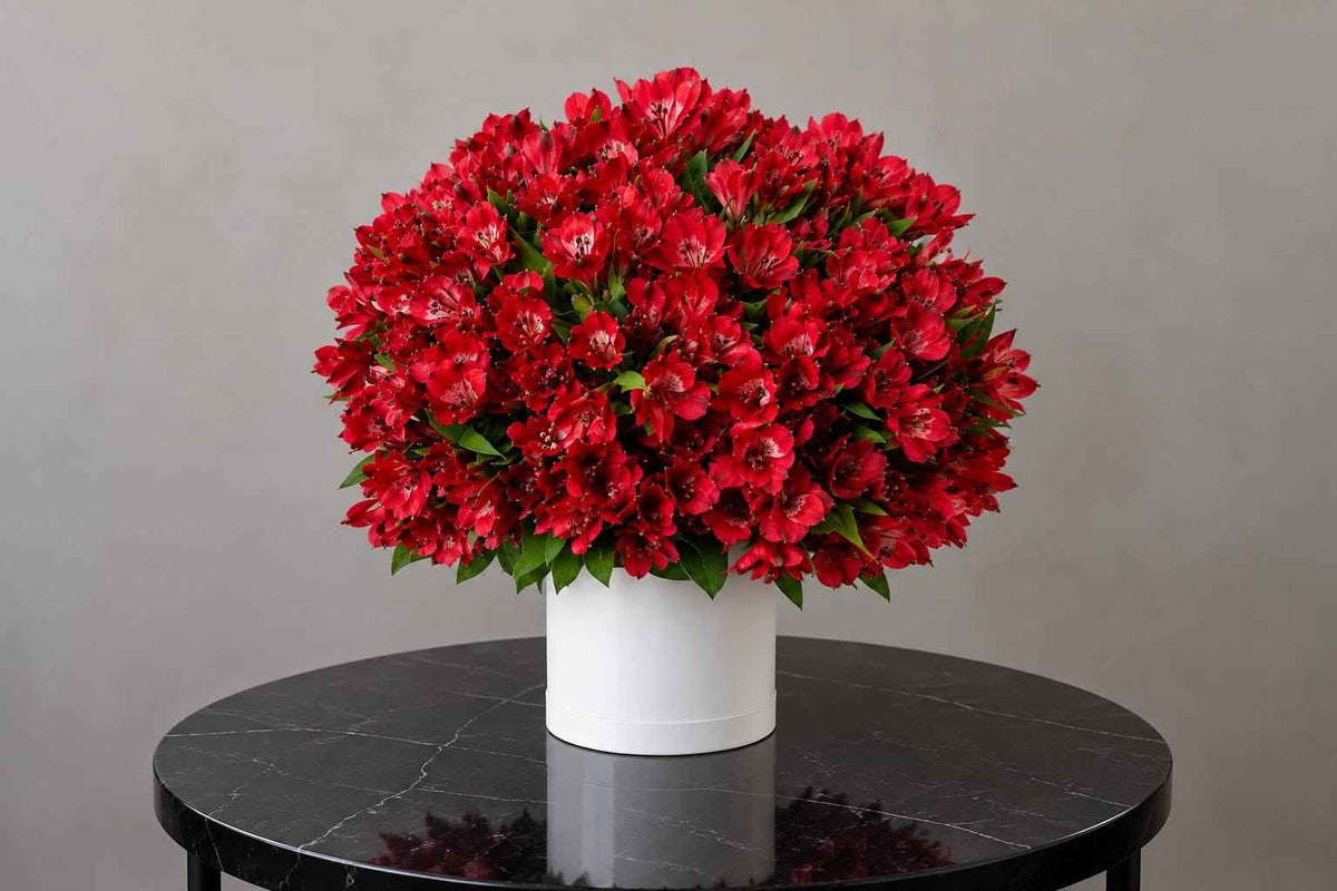 Alstromeria Blooming Vase