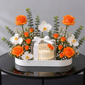 Orange Shine Celebration