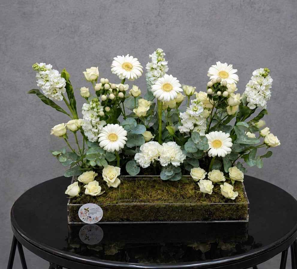 White Grace