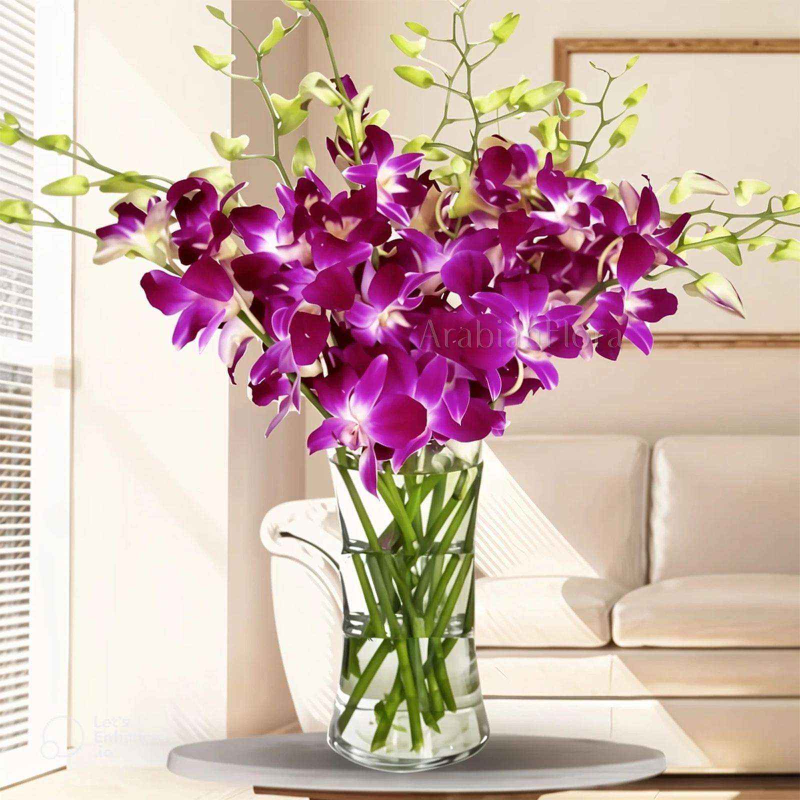 Radiant Orchid Elegance