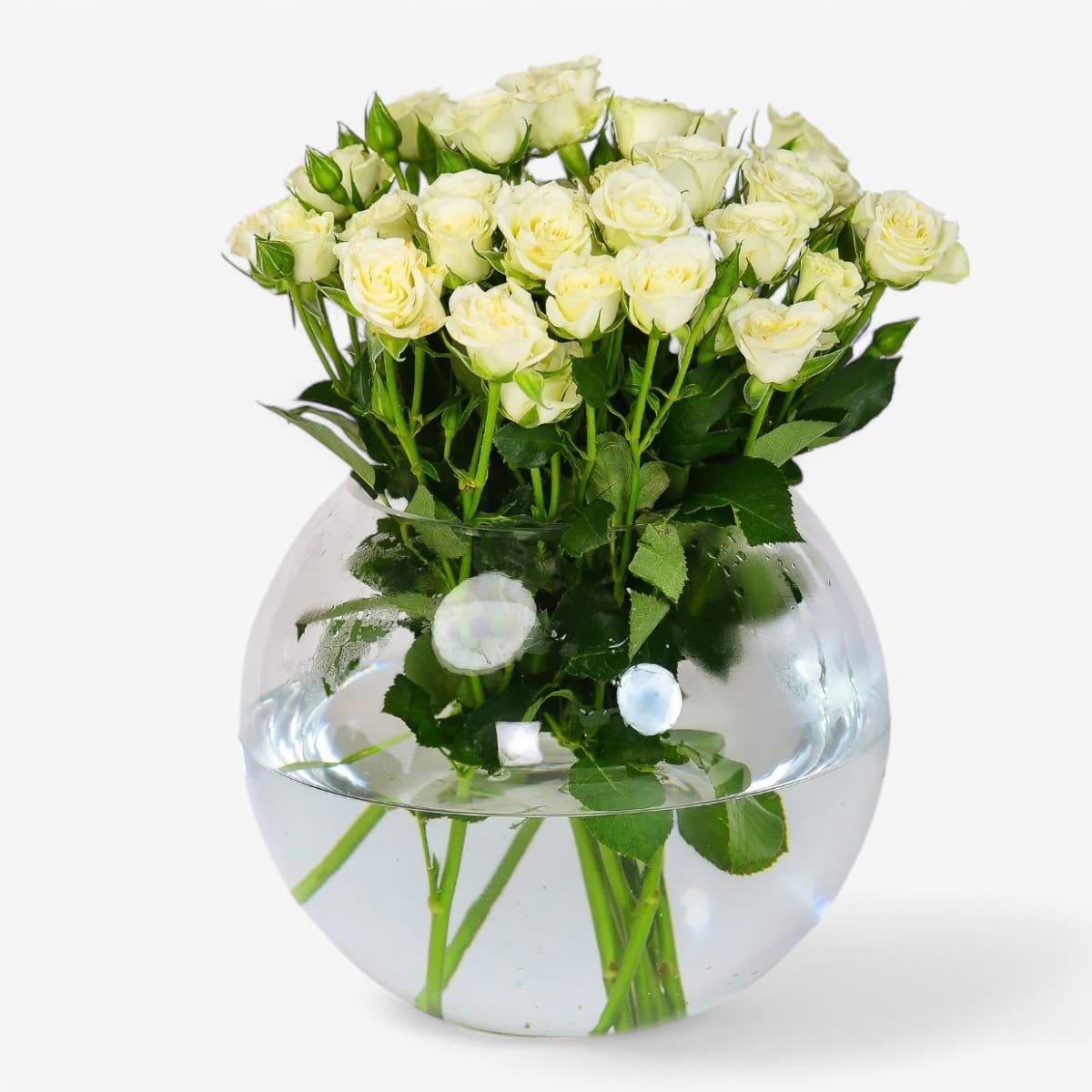 Blooming crystal vase with 10 baby Roses white