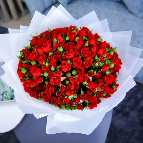 Crimson Deluxe 50 baby roses bouquet with white wrapping by Ward and Haneen, featuring vibrant red roses arranged elegantly.