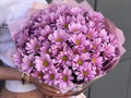 Joy of Renewal