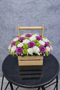 Whisper Garden by Ward and Haneen featuring lush green plants in a stylish indoor garden setting.