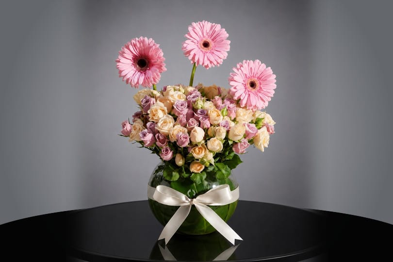 Blush Gerbera Rose Vase
