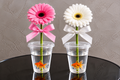 Gerbera Flower & Goldfish Gift Combo – Set of 2