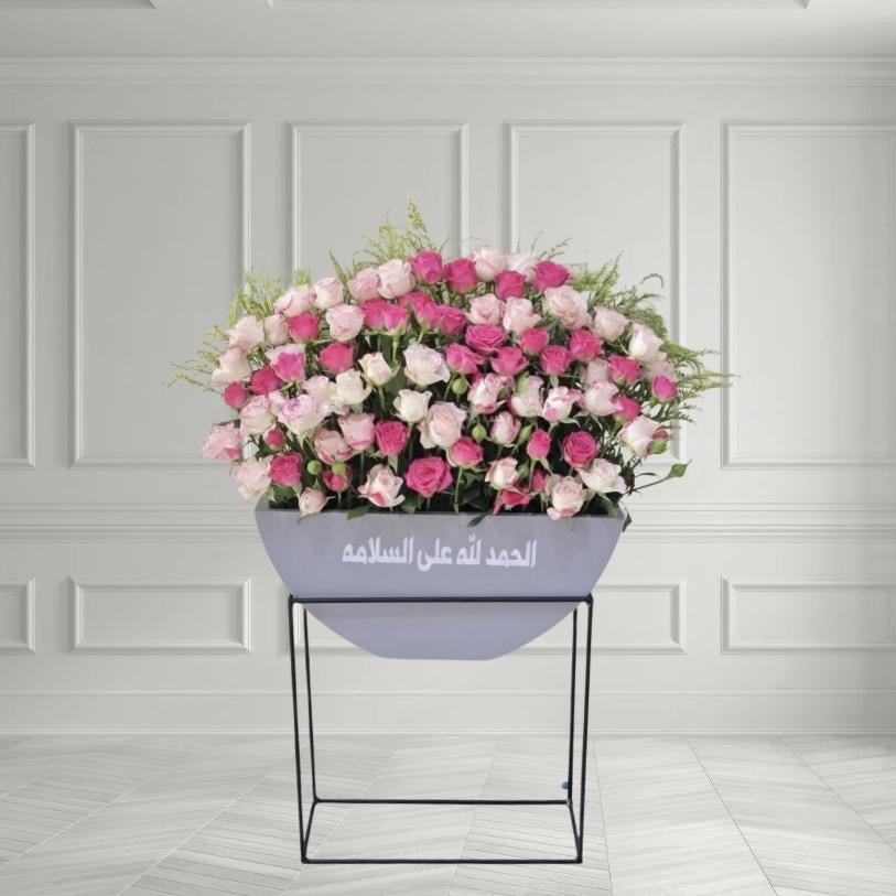 🕊 Graceful Return Bloom